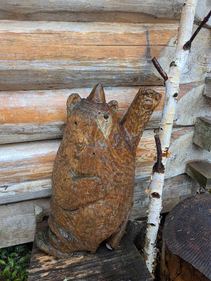 サウナツさんのThe Saunaのサ活写真