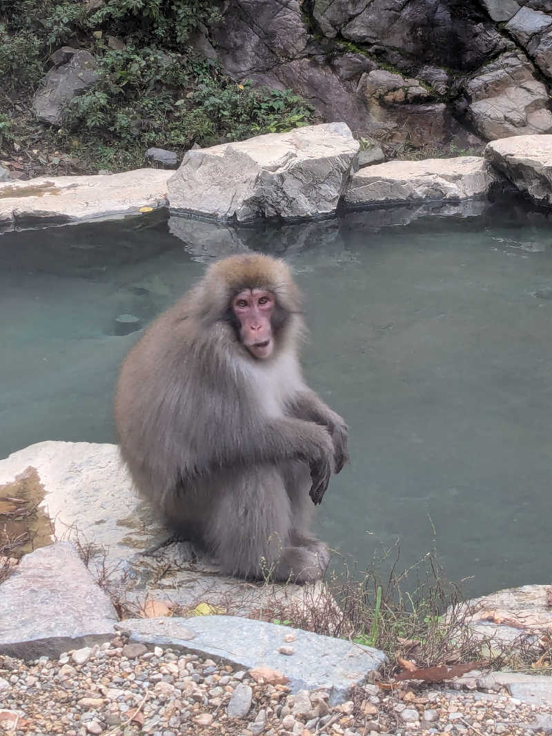 サウナツさんの湯田中温泉大浴場 吉の湯(ホテルゆだなか)のサ活写真