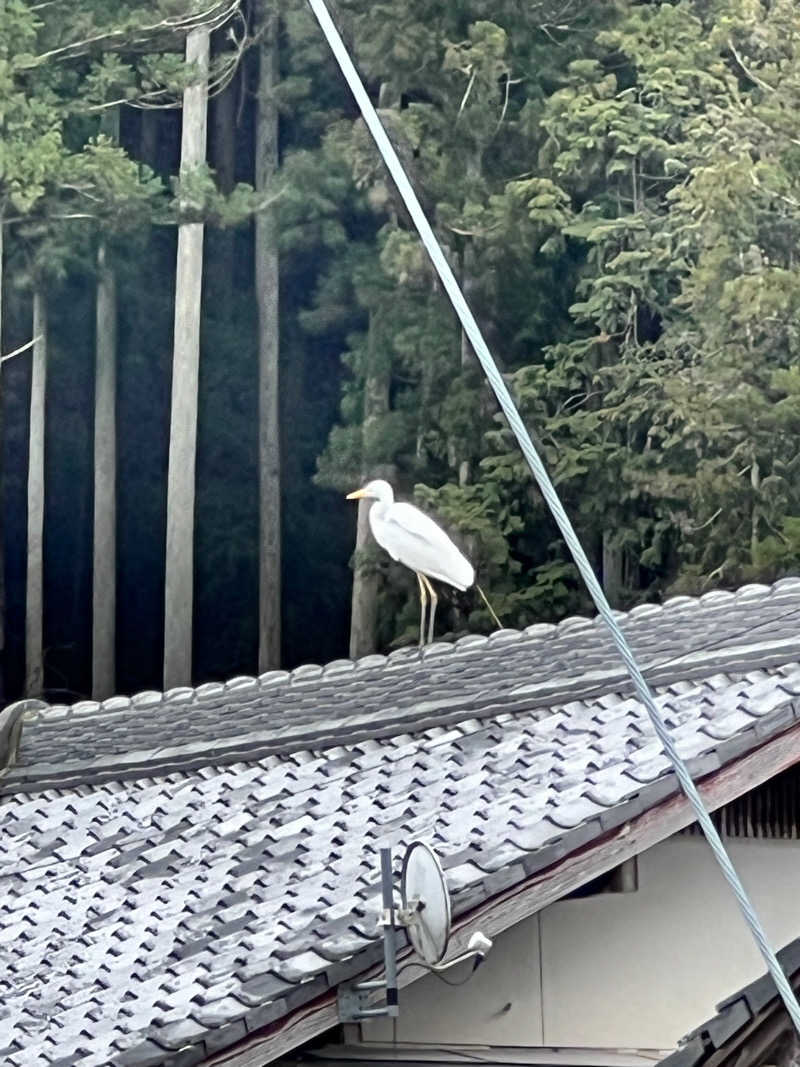 全国のサウナを堪能したくてさんの白鷺の湯 ドーミーイン姫路のサ活写真