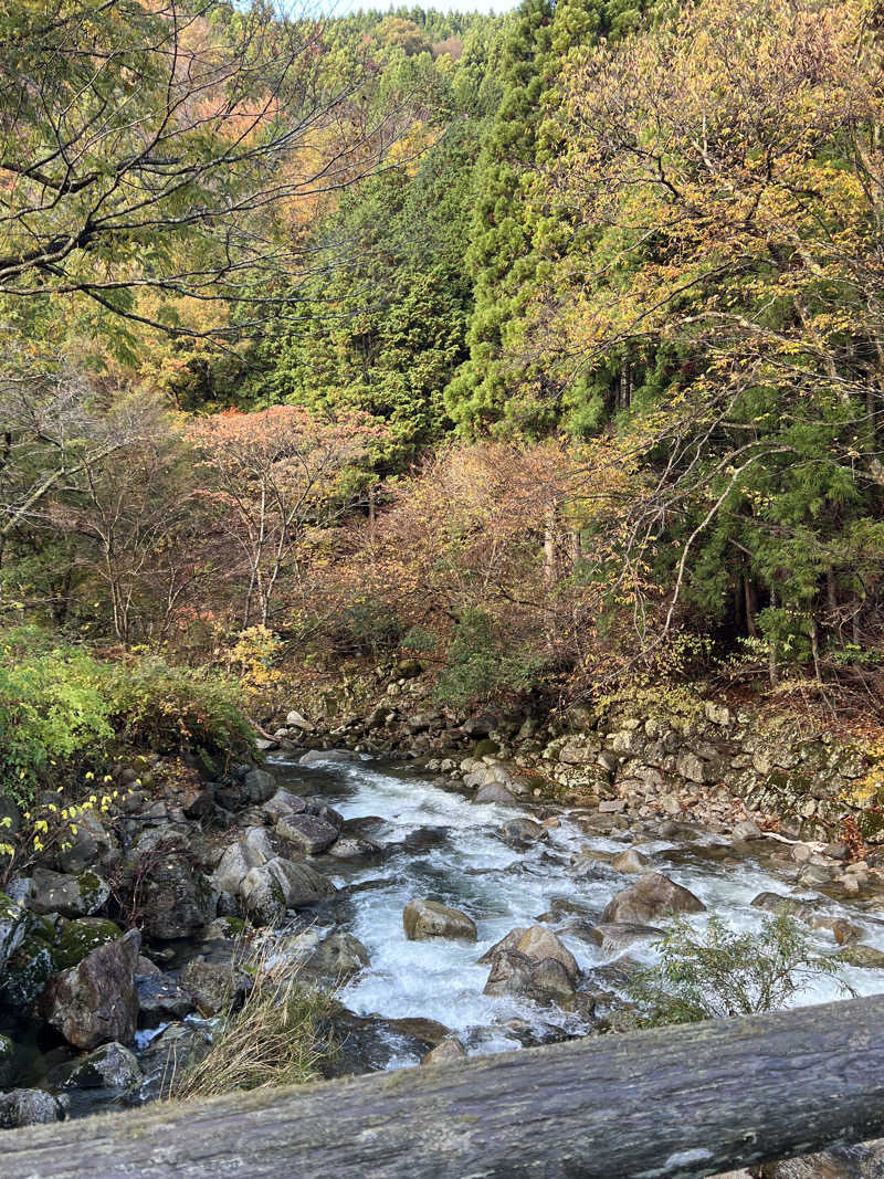 全国のサウナを堪能したくてさんの湯～とぴあ 黄金泉のサ活写真