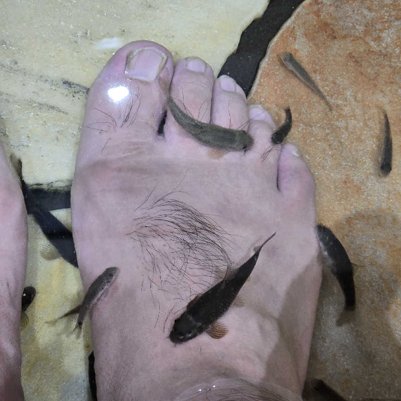【甲賀流忍者熱波師】凪さんのスパリゾート雄琴 あがりゃんせのサ活写真