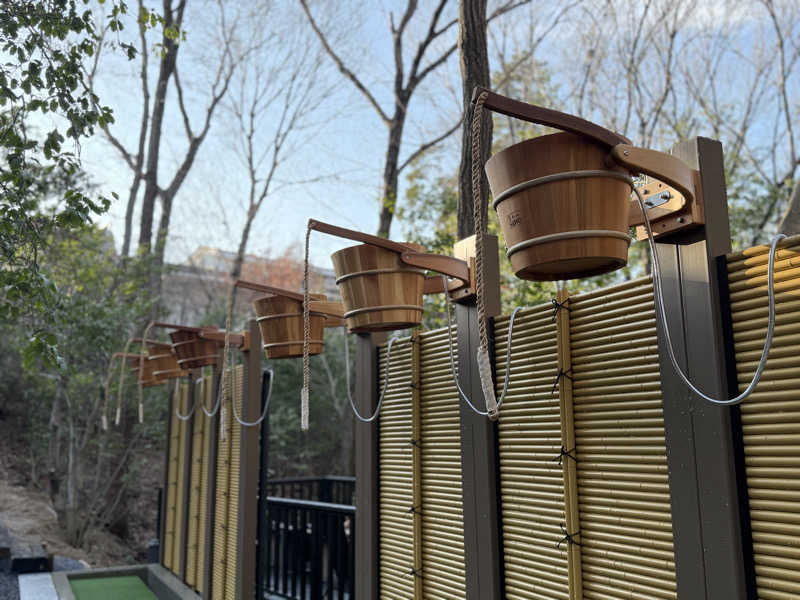 たなかさんの天光の湯のサ活写真