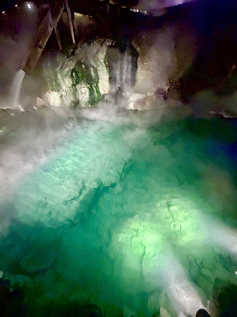 ピーピーさんの草津ナウリゾートホテルのサ活写真