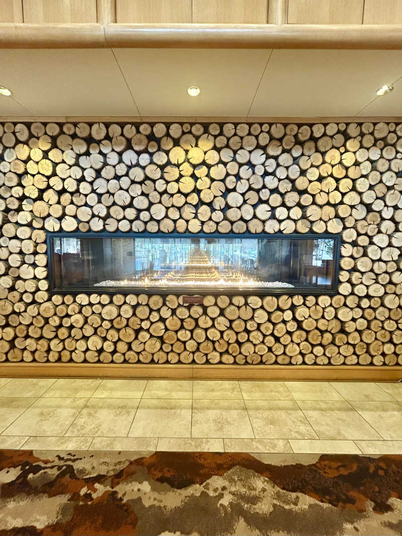 ピーピーさんの草津ナウリゾートホテルのサ活写真