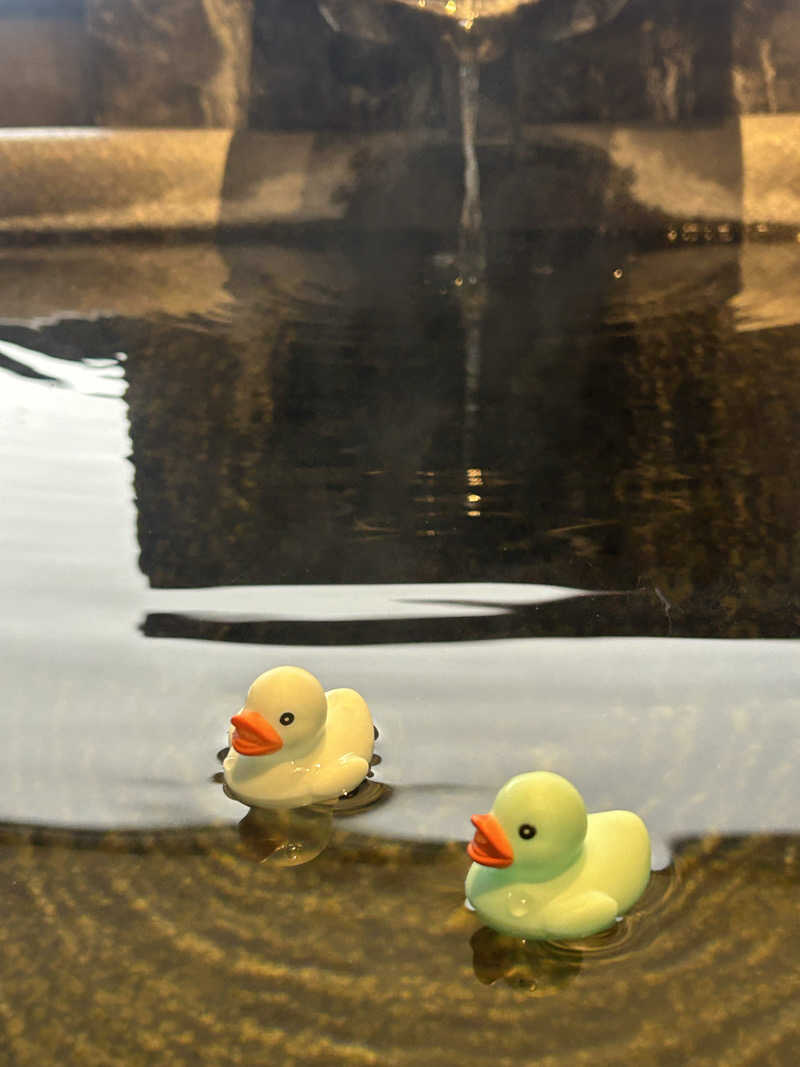 ピーピーさんの草津ナウリゾートホテルのサ活写真