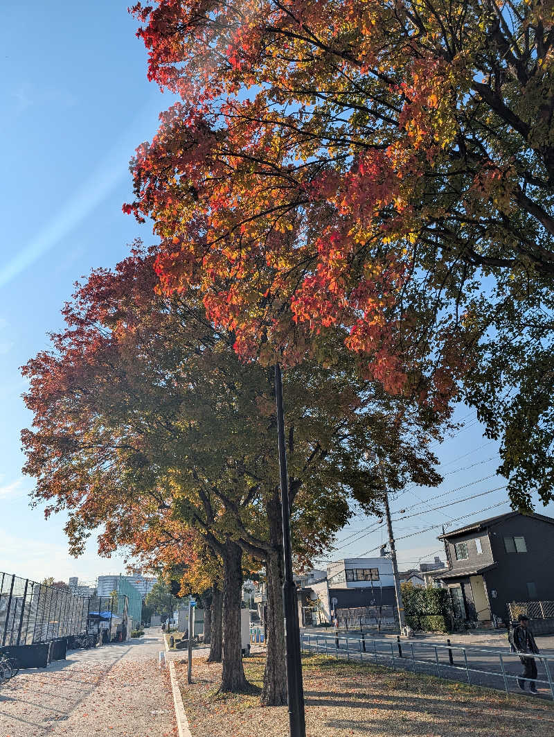 ドナウ川の漣さんの天然温泉 白鳥の湯のサ活写真