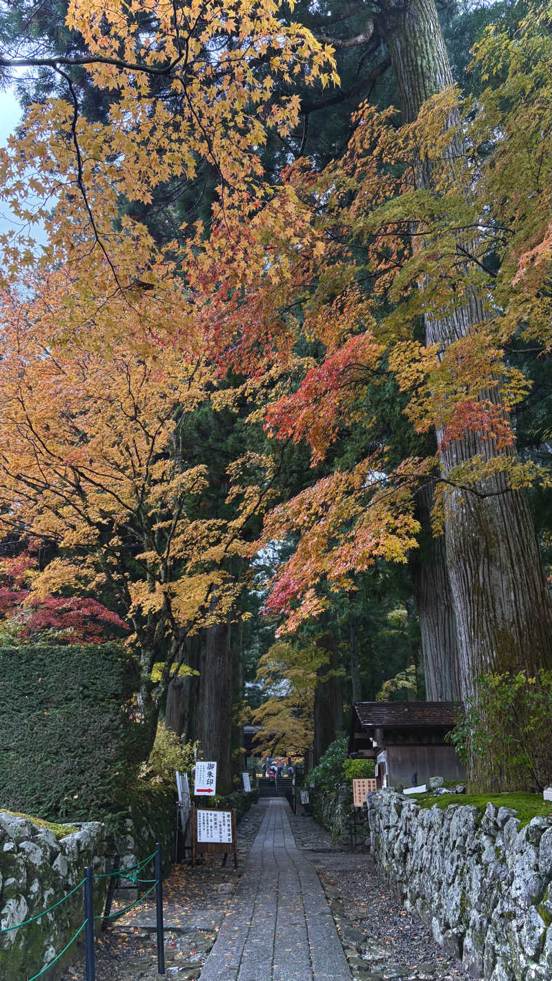 iさんのお宿山翠のサ活写真