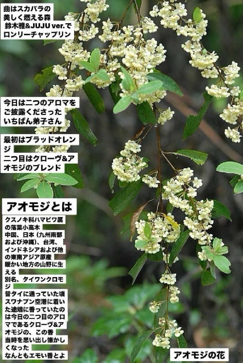 ワニ子さんの筑紫野 天拝の郷のサ活写真