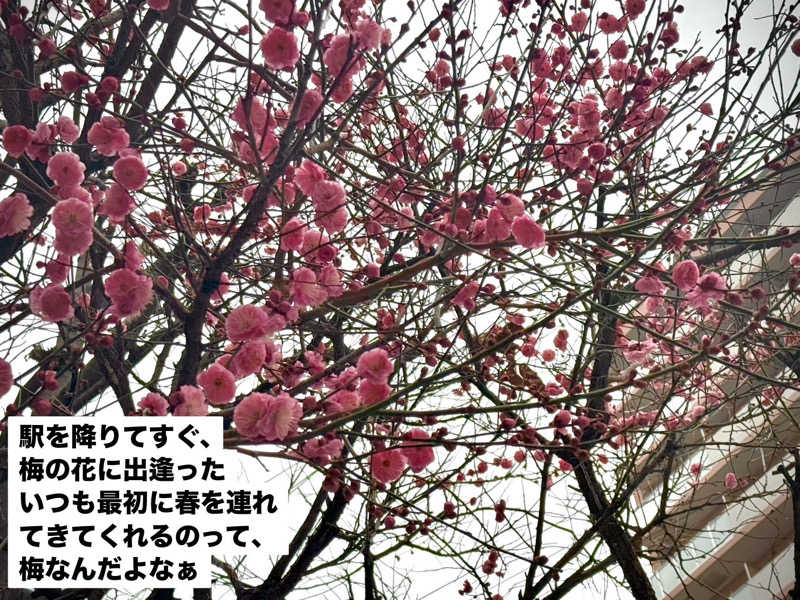 ワニ子さんのなにわ健康ランド 湯〜トピアのサ活写真