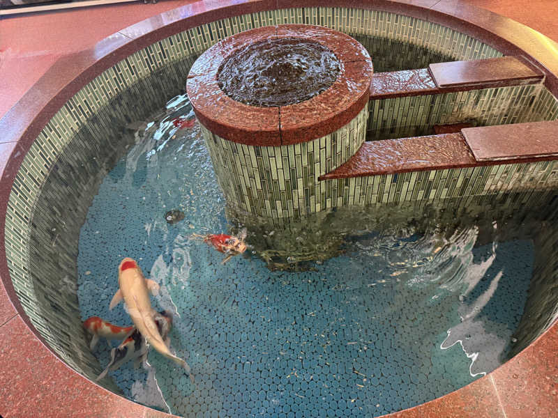 ワニ子さんの夢の公衆浴場 五色のサ活写真