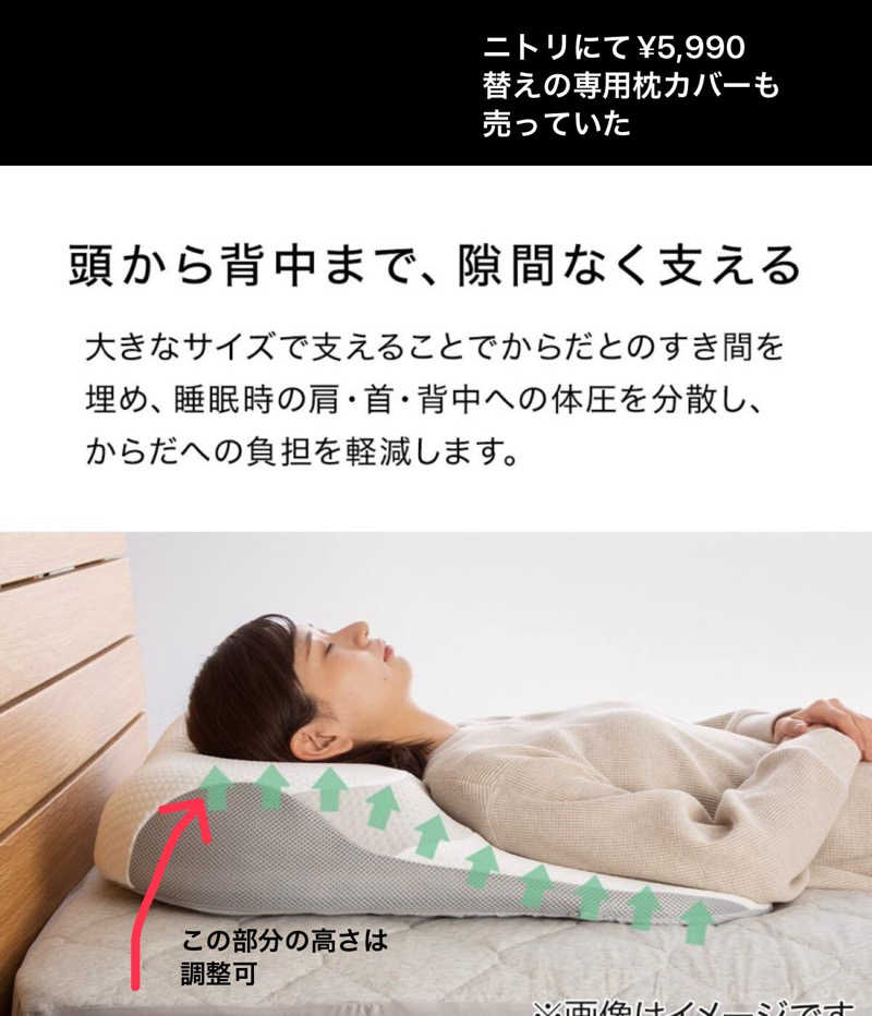 ワニ子さんの湯の坂 久留米温泉のサ活写真