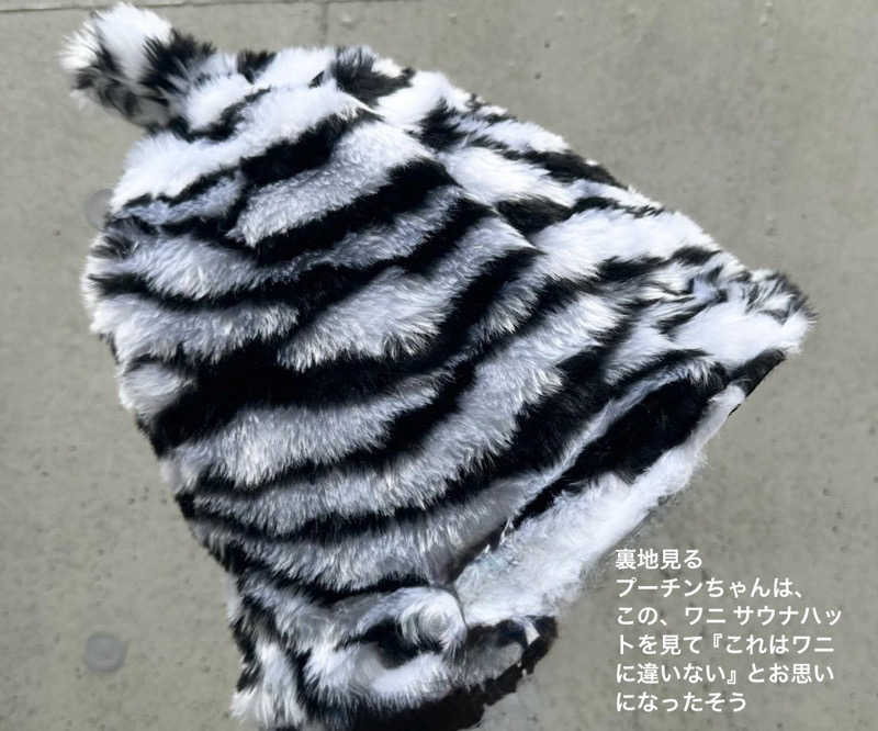 ワニ子さんの湯の坂 久留米温泉のサ活写真