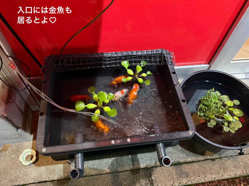 ワニ子さんのヘルスイン長尾湯のサ活写真