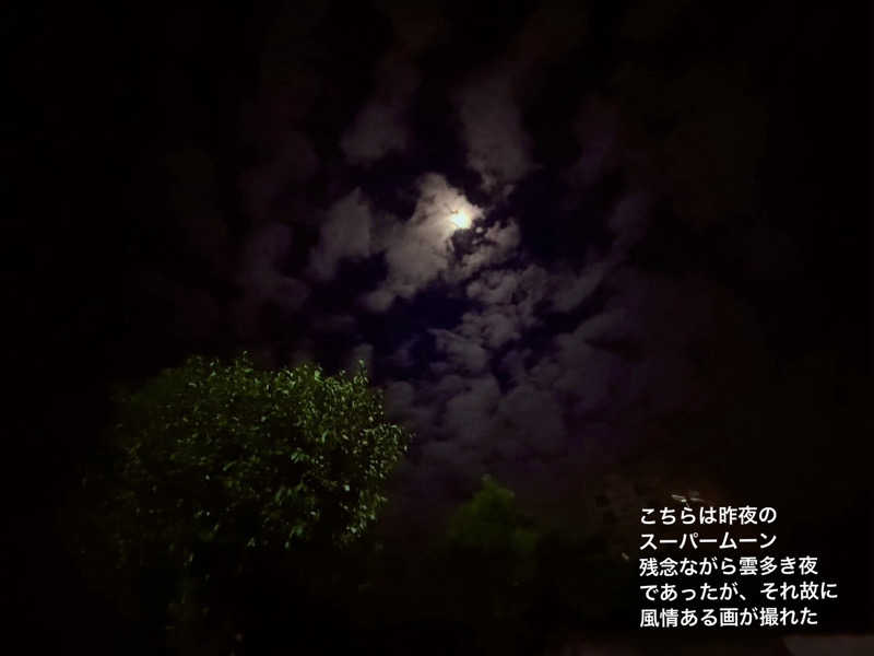 ワニ子さんの大牟田天然温泉 最高の湯のサ活写真