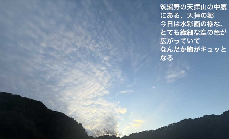 ワニ子さんの筑紫野 天拝の郷のサ活写真