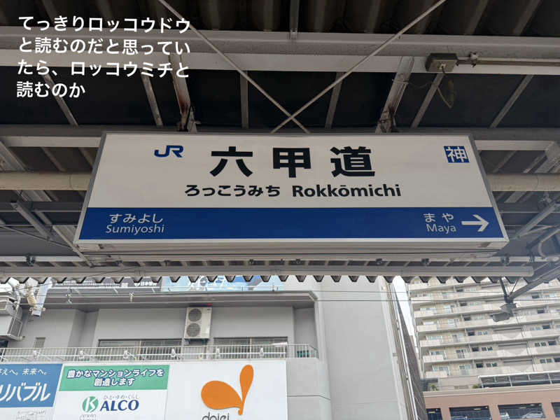ワニ子さんの灘温泉 六甲道店のサ活写真