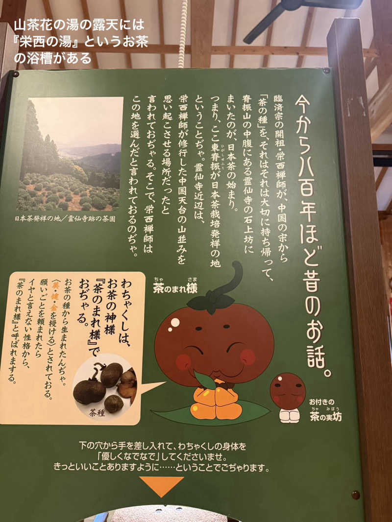 ワニ子さんのひがしせふり温泉 山茶花の湯のサ活写真