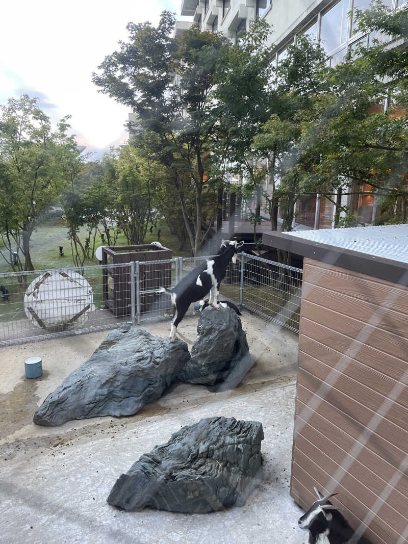 ととのいよだれ🤤🔆さんの島原温泉 ホテル南風楼のサ活写真