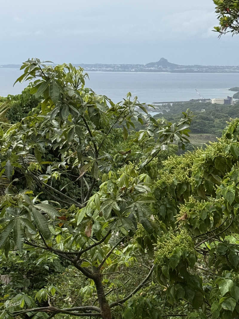 JD祭りさんのエナジック天然温泉アロマのサ活写真
