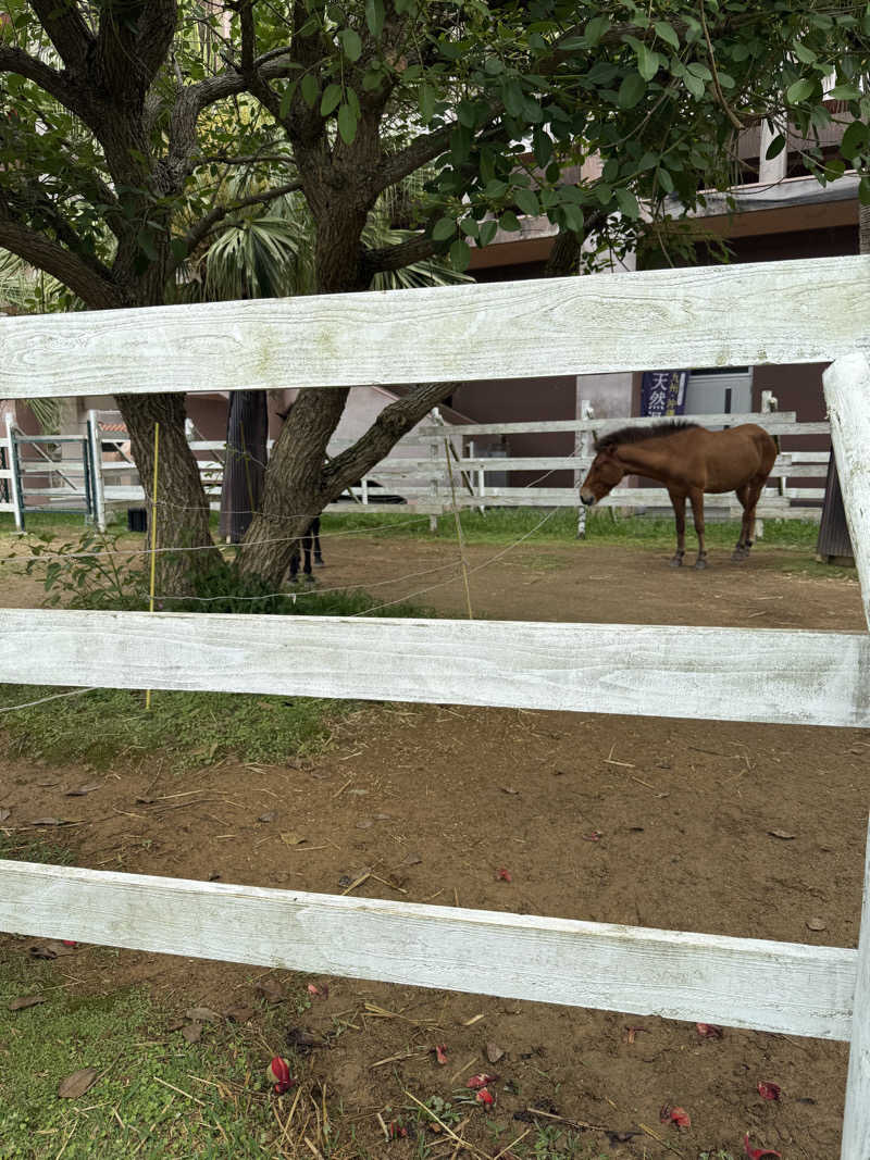 JD祭りさんの猿人の湯 (ユインチホテル南城)のサ活写真