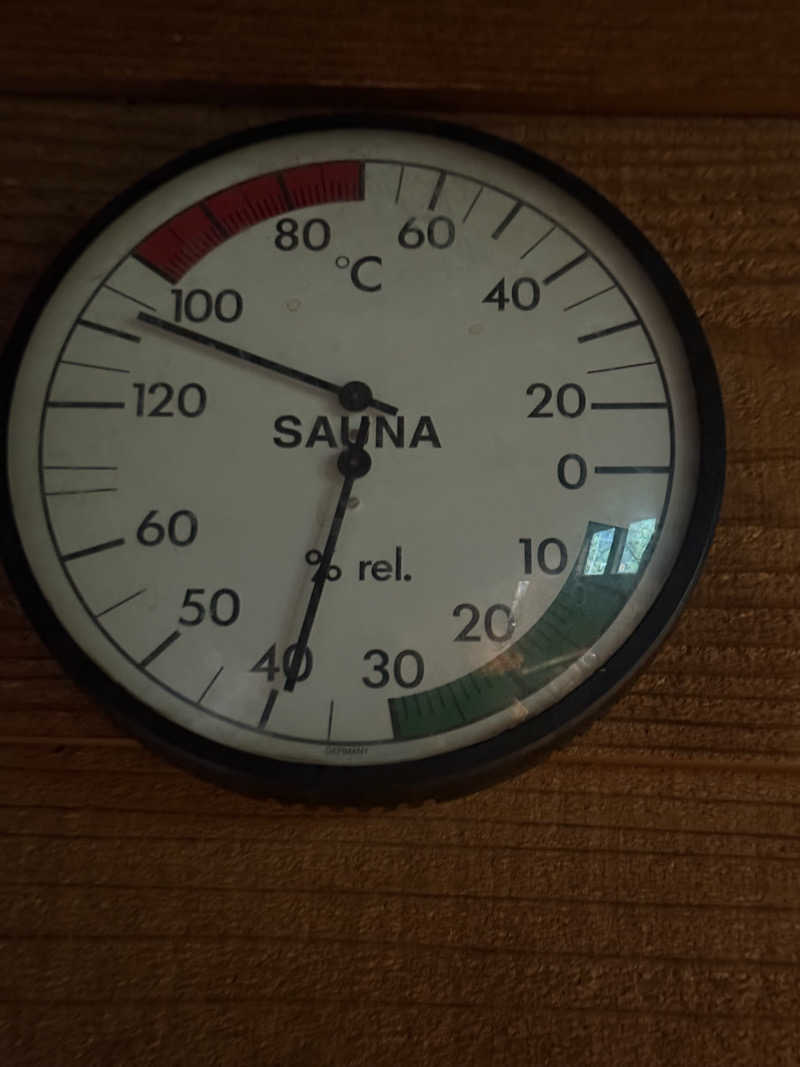 JD祭りさんの山賊サウナのサ活写真