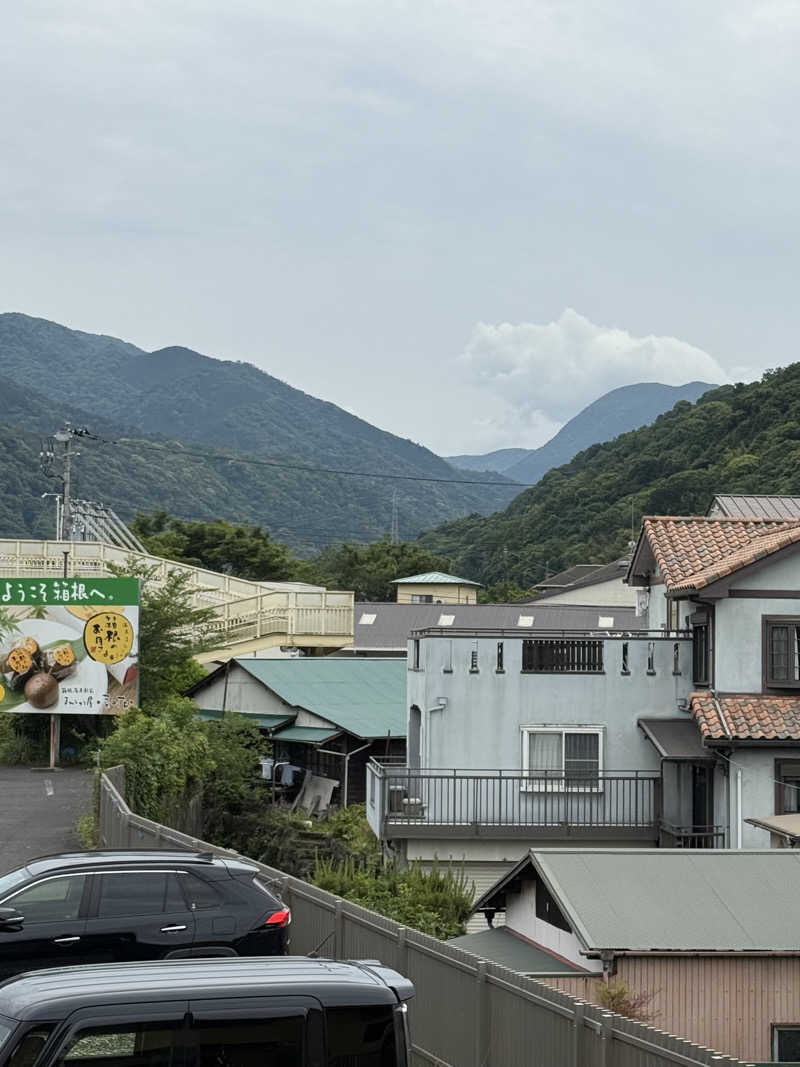 JD祭りさんの山賊サウナのサ活写真