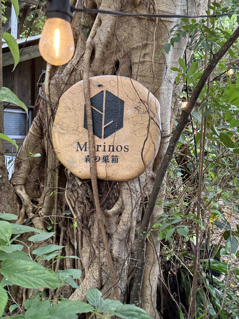 JD祭りさんのサウナ 森の巣箱のサ活写真