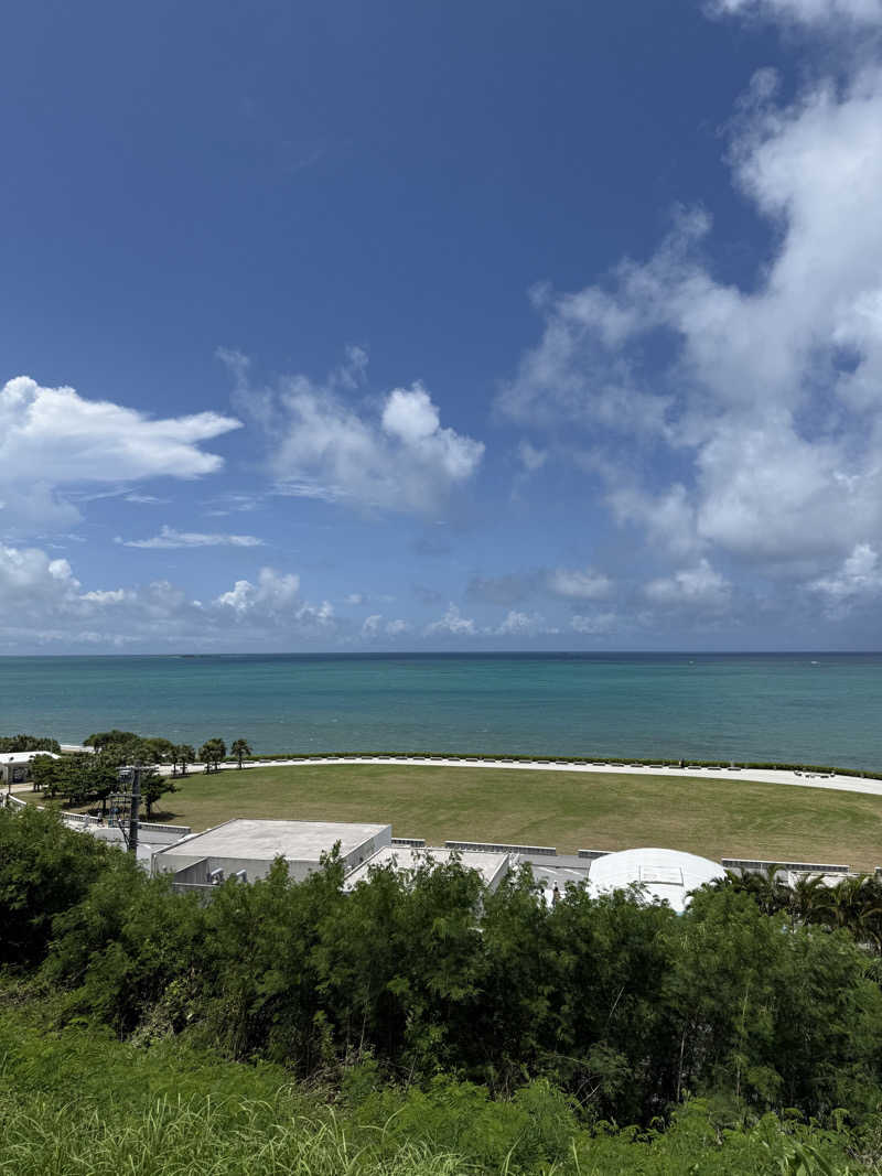 JD祭りさんの琉球温泉 龍神の湯のサ活写真
