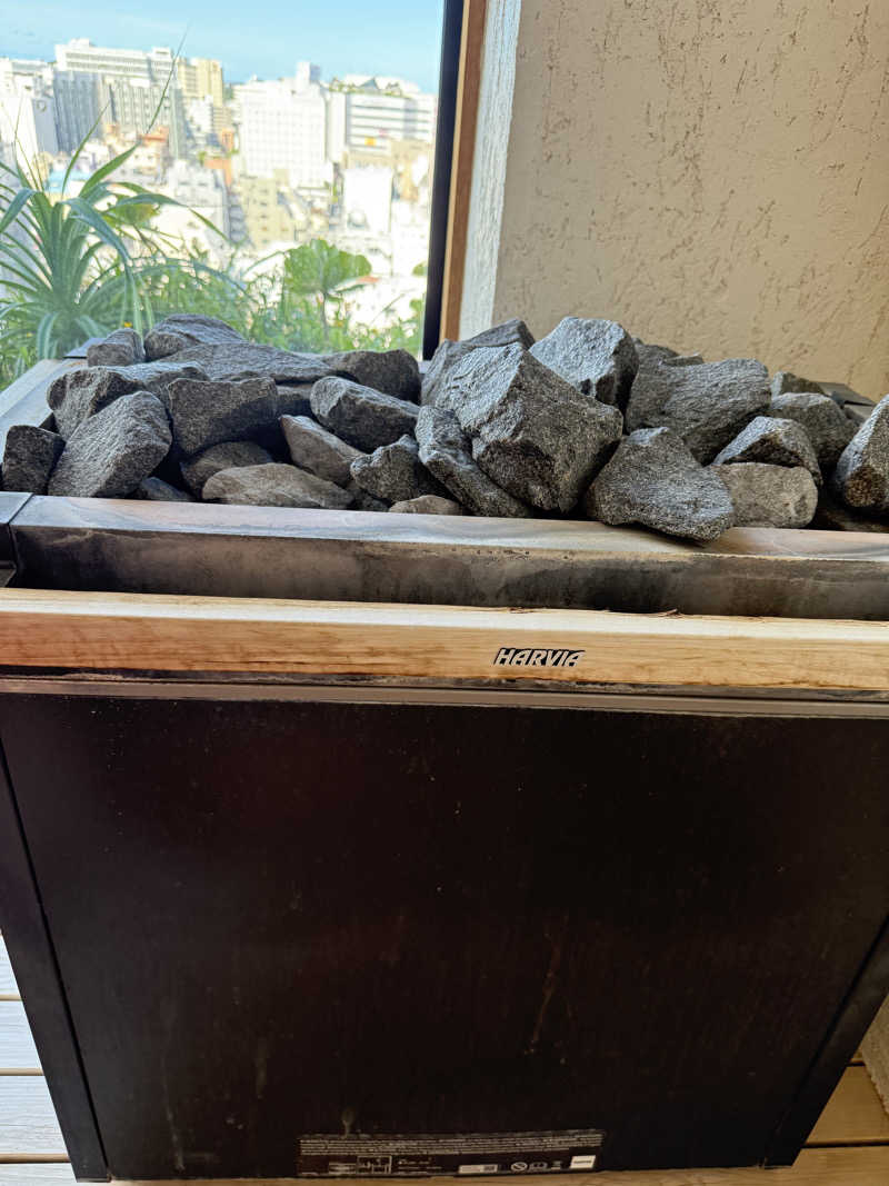 JD祭りさんのSouthwest Grand Hotelのサ活写真