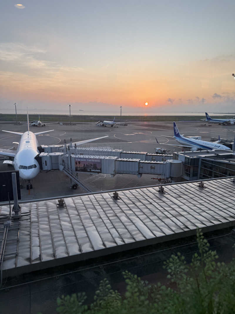JD祭りさんの天然温泉 平和島のサ活写真