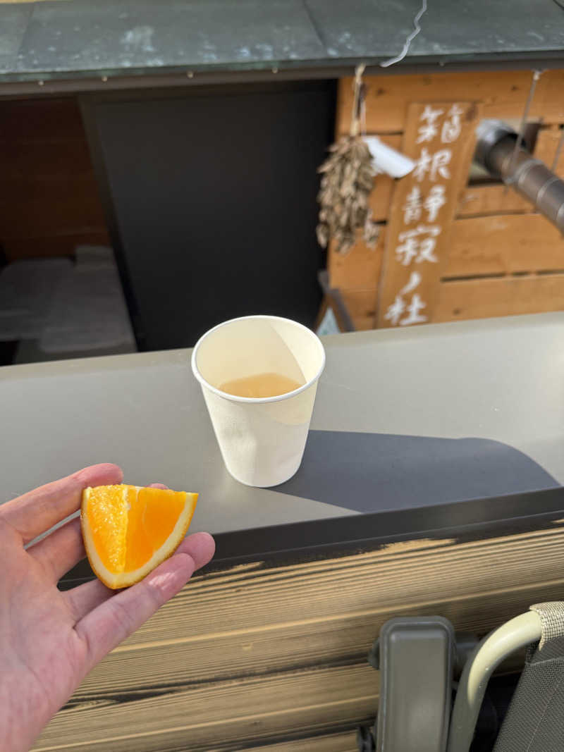 JD祭りさんの山賊サウナのサ活写真