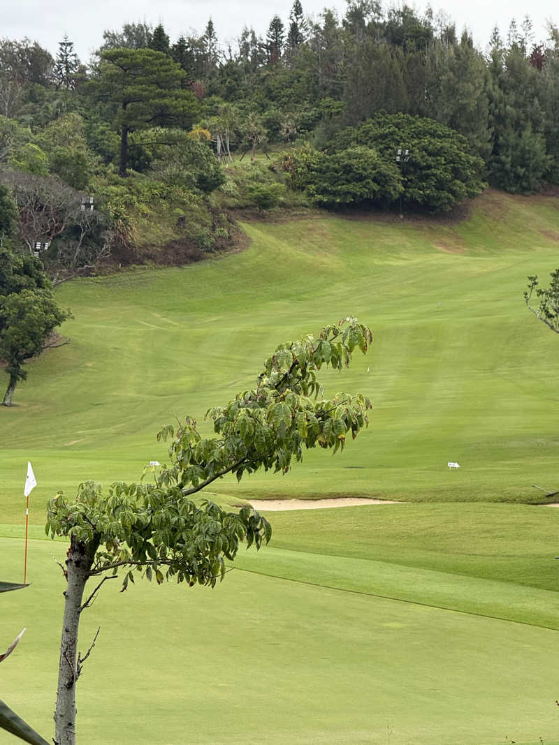 JD祭りさんの天然温泉 りっかりっか湯(那覇セントラルホテル)のサ活写真