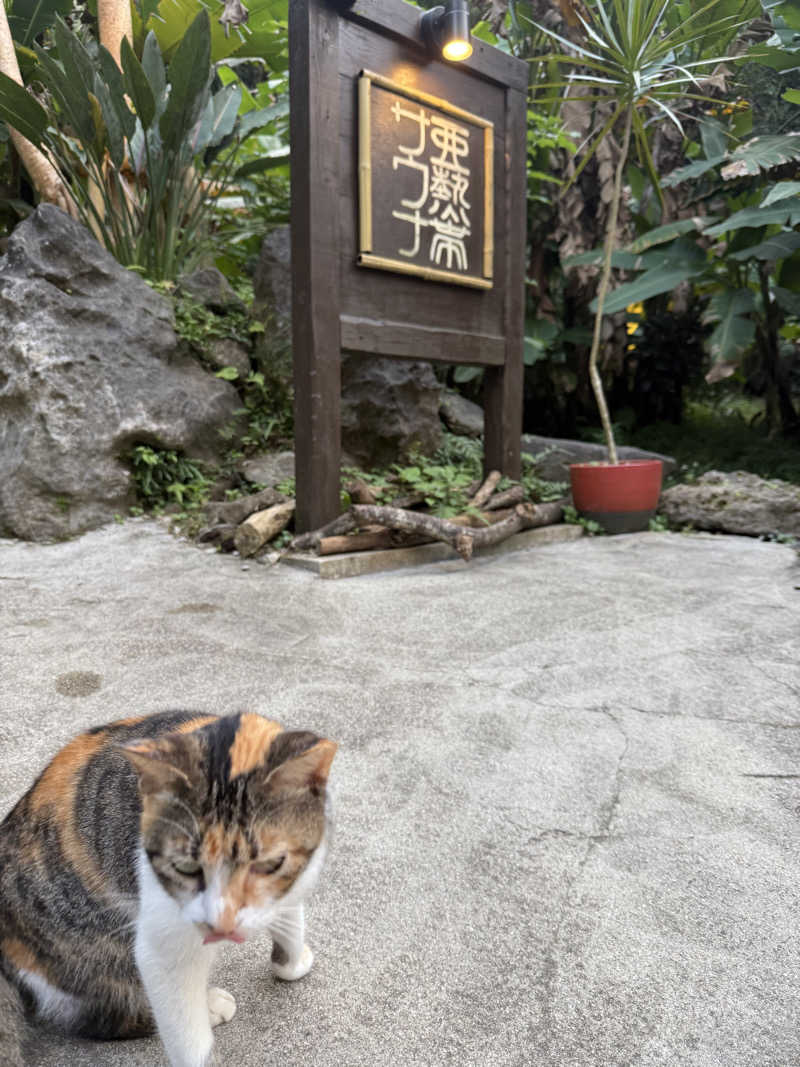 JD祭りさんの亜熱帯サウナのサ活写真