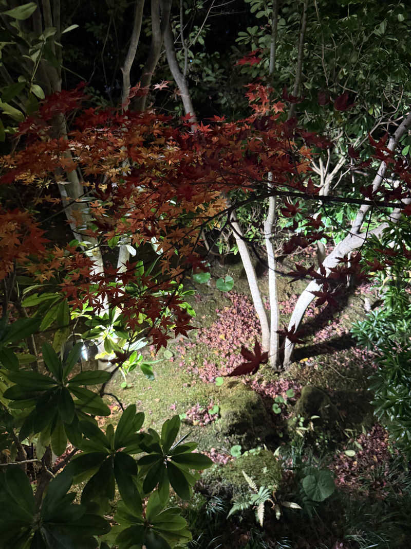 JD祭りさんの箱根湯寮のサ活写真