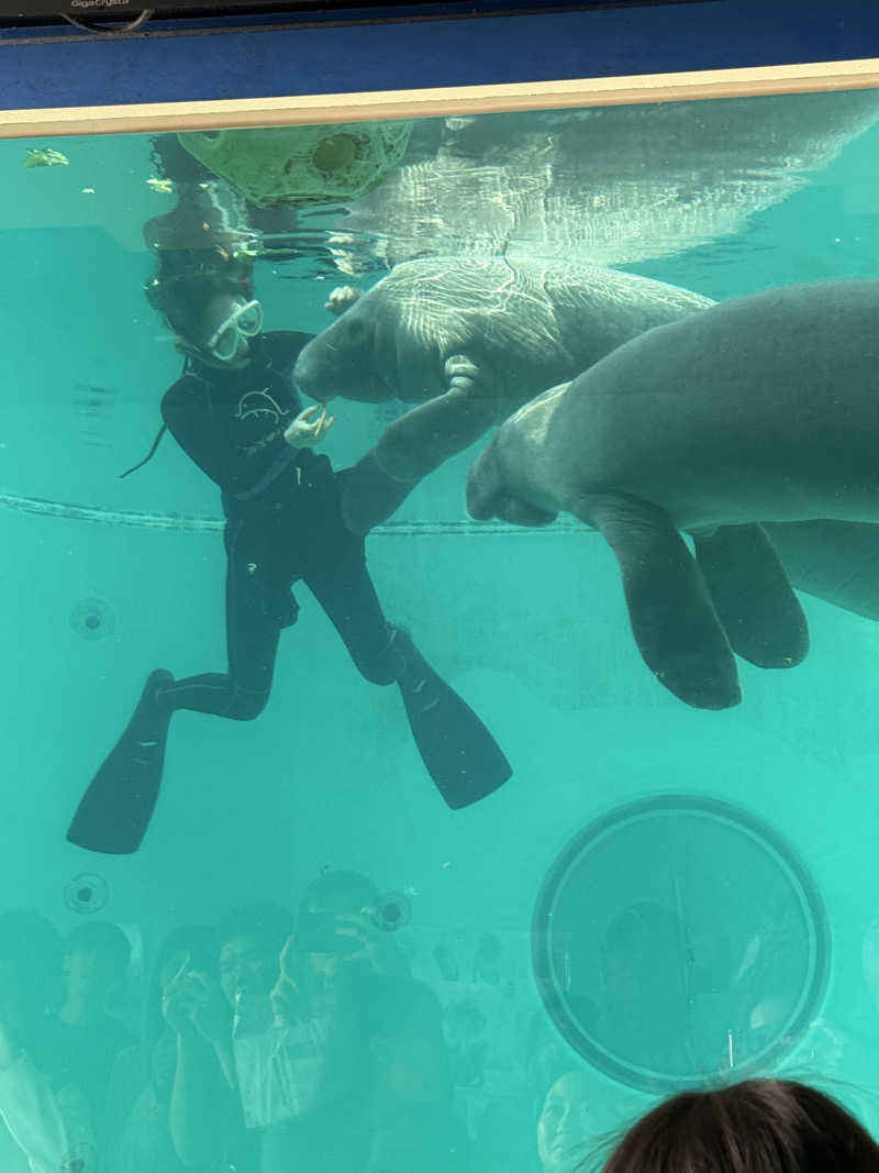 JD祭りさんの古宇利島サウナティーダのサ活写真