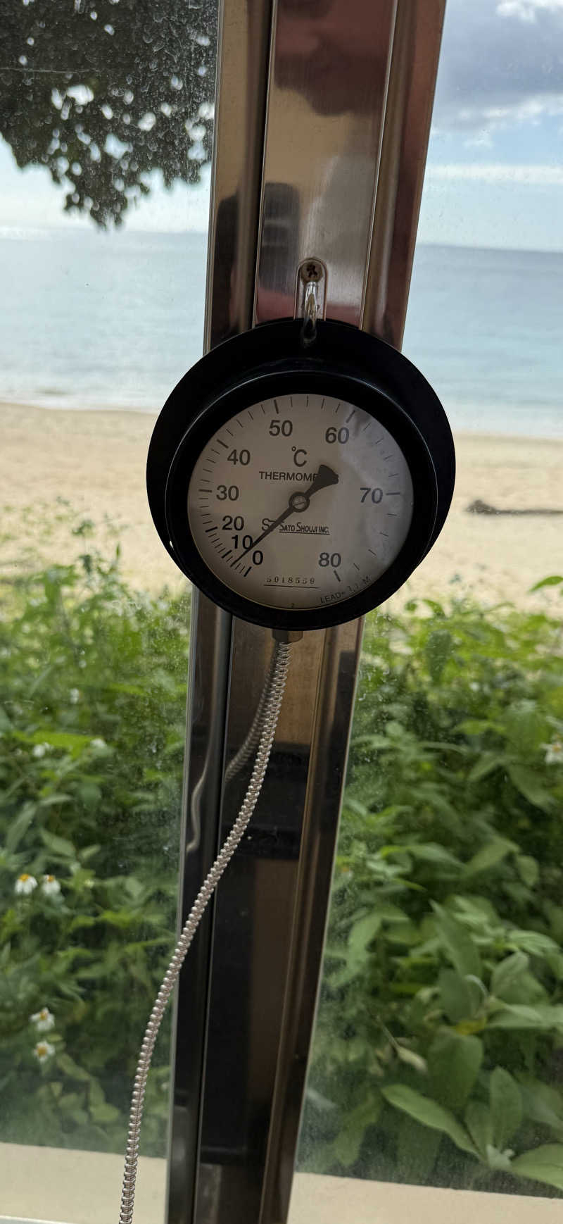 JD祭りさんのThida saunaのサ活写真