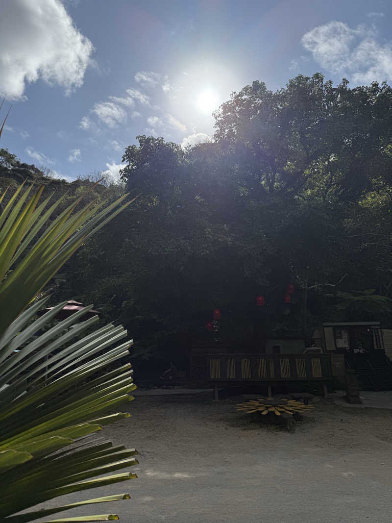 JD祭りさんの亜熱帯サウナのサ活写真