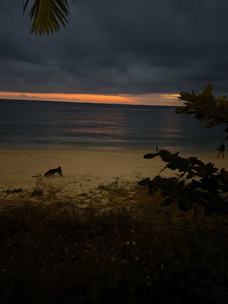 JD祭りさんのThida saunaのサ活写真