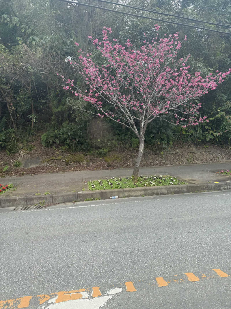 JD祭りさんの古宇利島サウナティーダのサ活写真