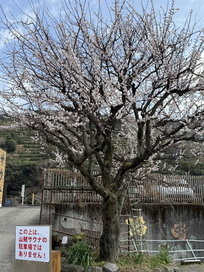 JD祭りさんの山賊サウナのサ活写真