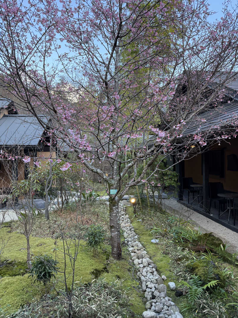JD祭りさんの箱根湯寮のサ活写真