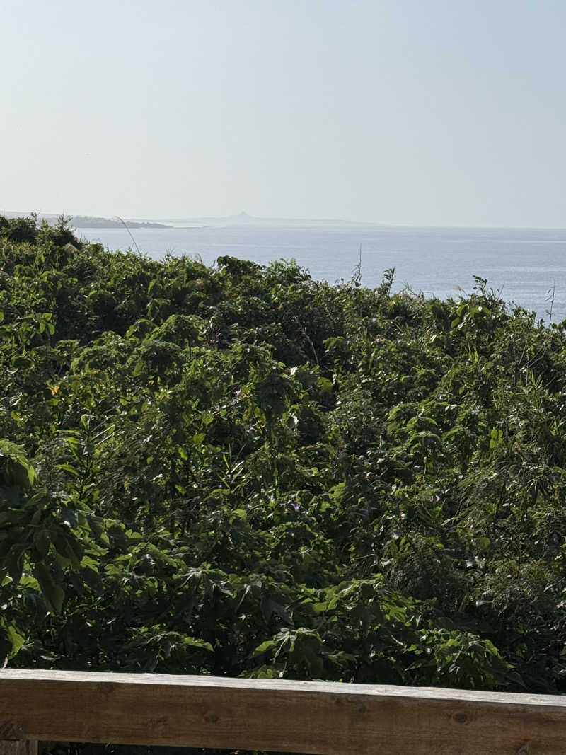 JD祭りさんの古宇利島サウナティーダのサ活写真