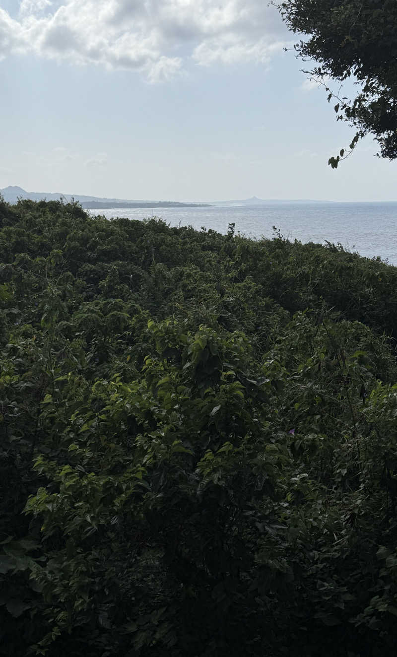 JD祭りさんの古宇利島サウナティーダのサ活写真