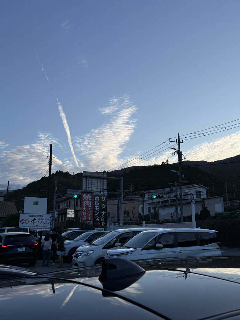 JD祭りさんの山賊サウナのサ活写真
