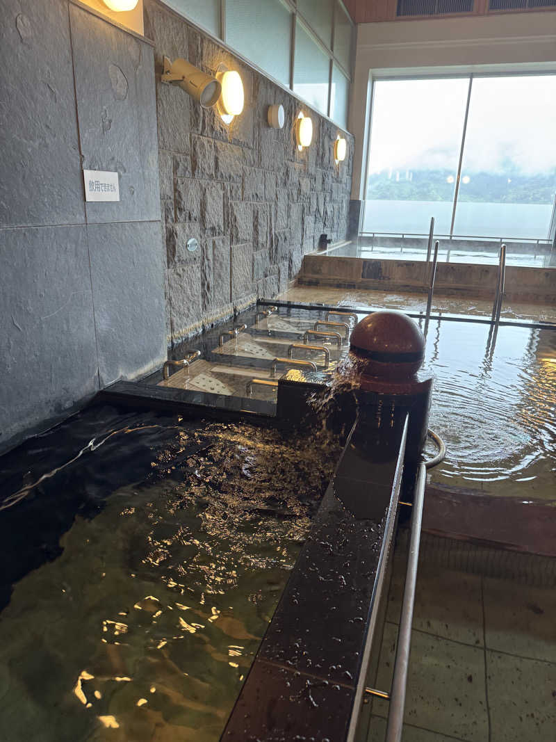 🔰♡Can♡🔰さんの天然温泉 ひなたの宿 日南宮崎のサ活写真