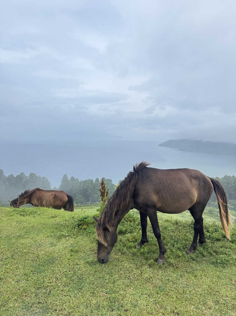 🔰♡Can♡🔰さんの天岩戸の湯のサ活写真