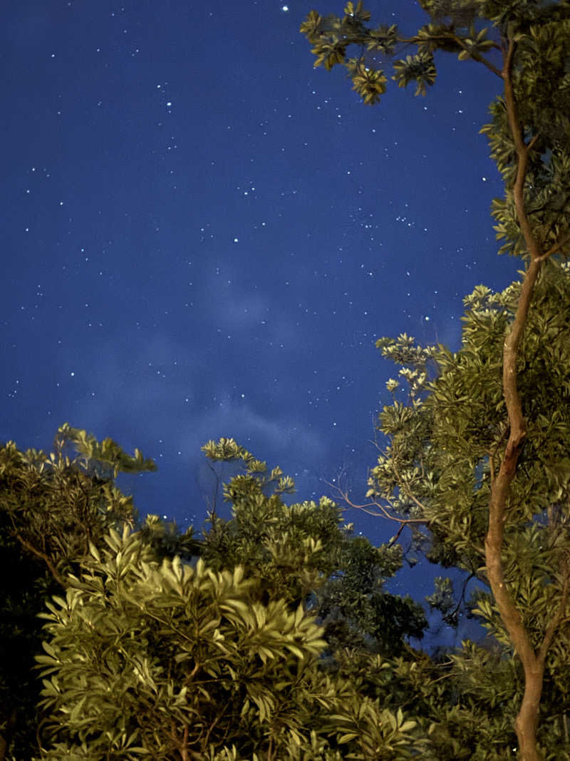 🔰♡Can♡🔰さんの大洗パークホテルのサ活写真