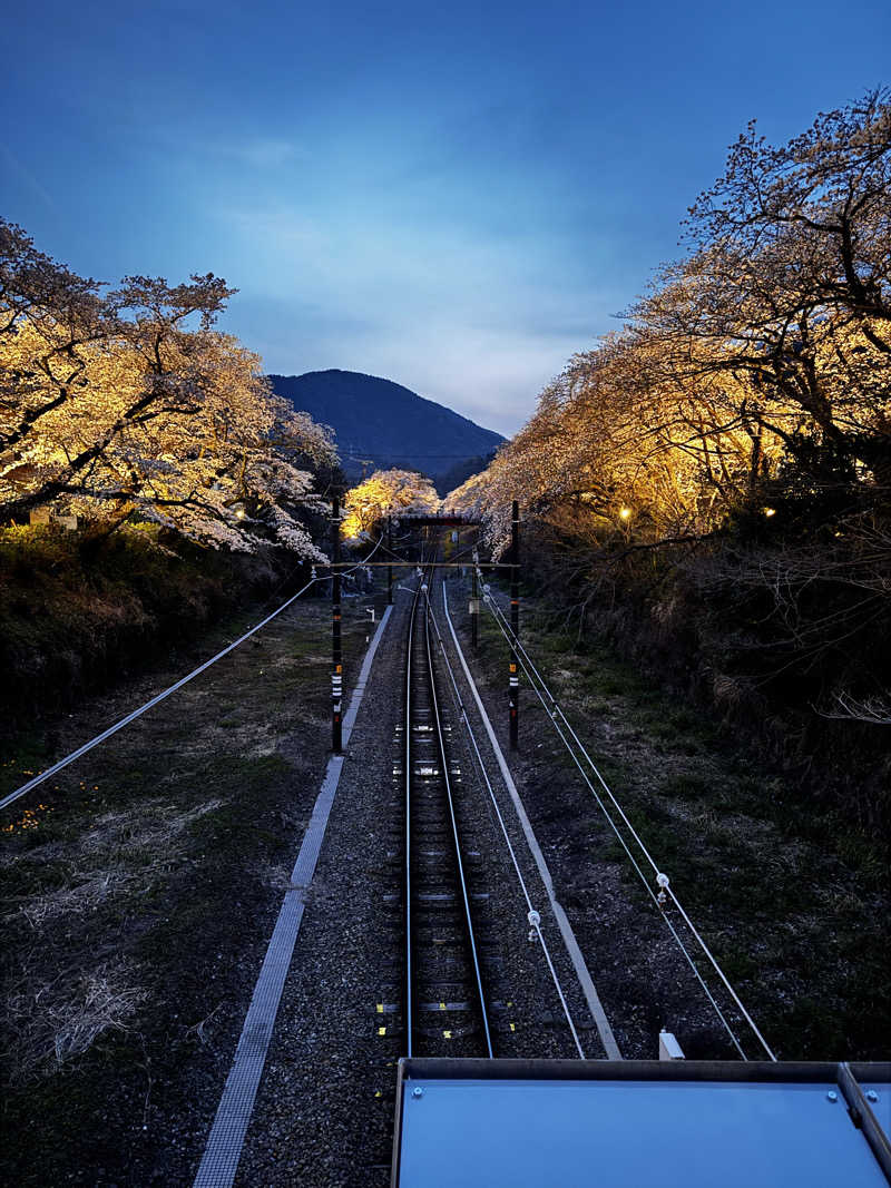かねつこさんの山北町健康福祉センター さくらの湯のサ活写真