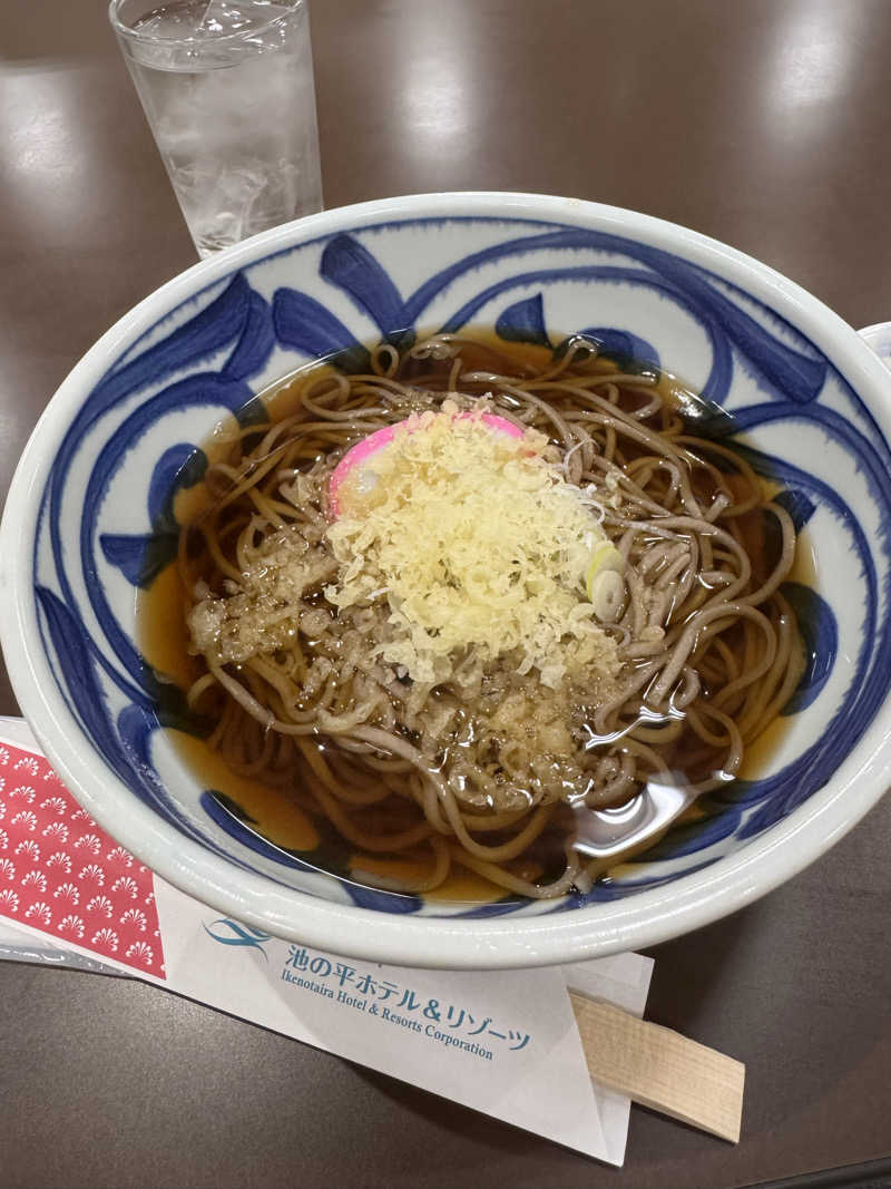 かねつこさんの佐久平プラザ21のサ活写真