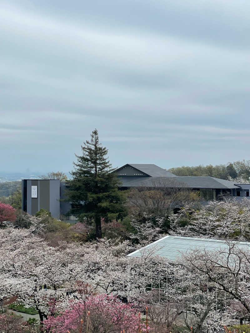 yoyoyoshikawaさんのよみうりランド眺望温泉 花景の湯のサ活写真